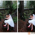 Big Sur wedding in the Redwoods